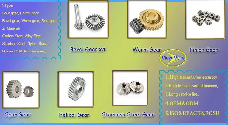 Customized High Precision Brass Worm Spur Helical Gear