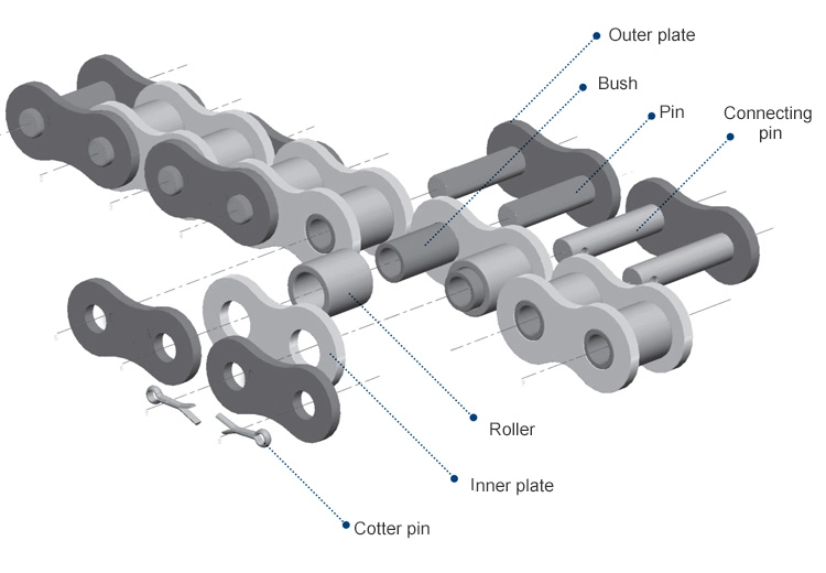 High Quality Stainless Steel Short Pitch Precision Duplex Roller Chains (A series)