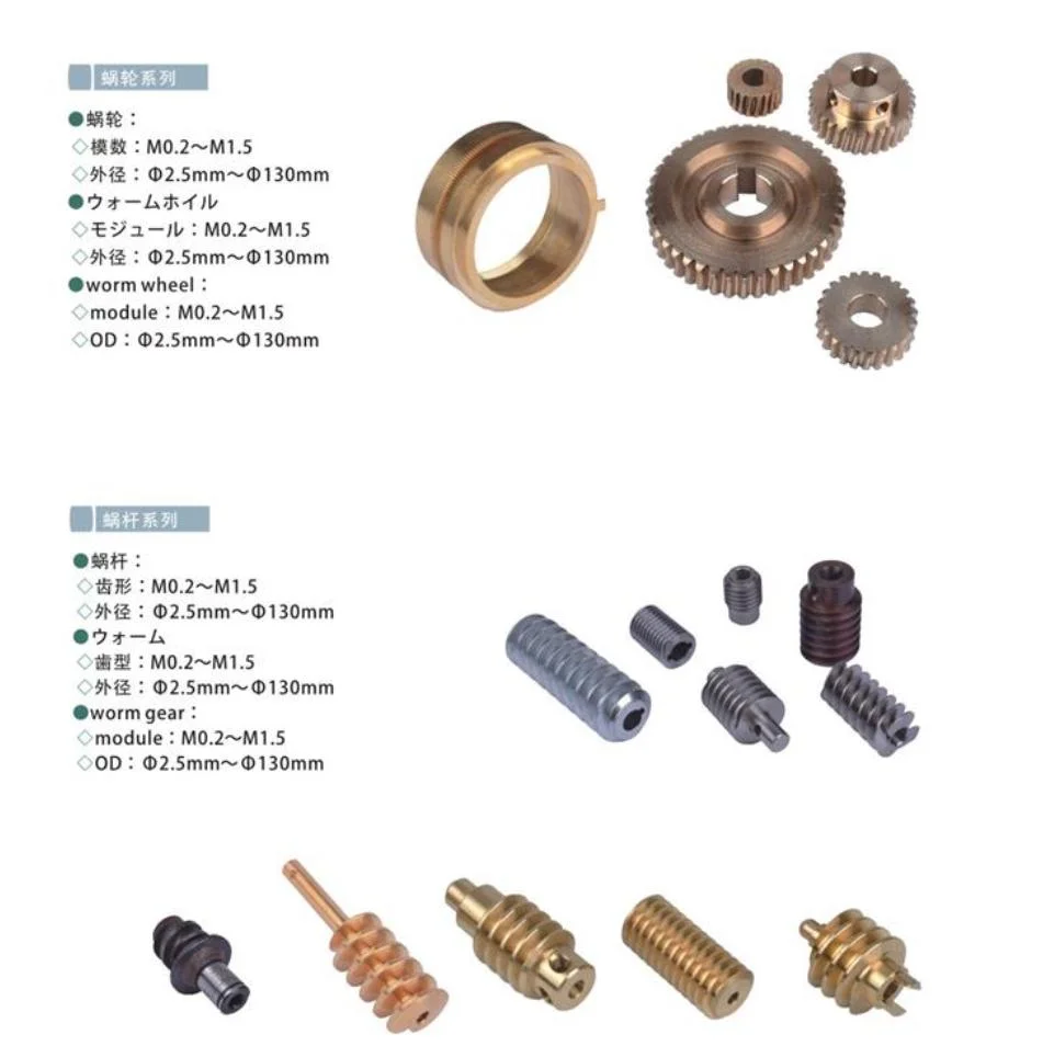 Precision Anti-Backlash Stainless Steel Worm Gear and Bronze Worms