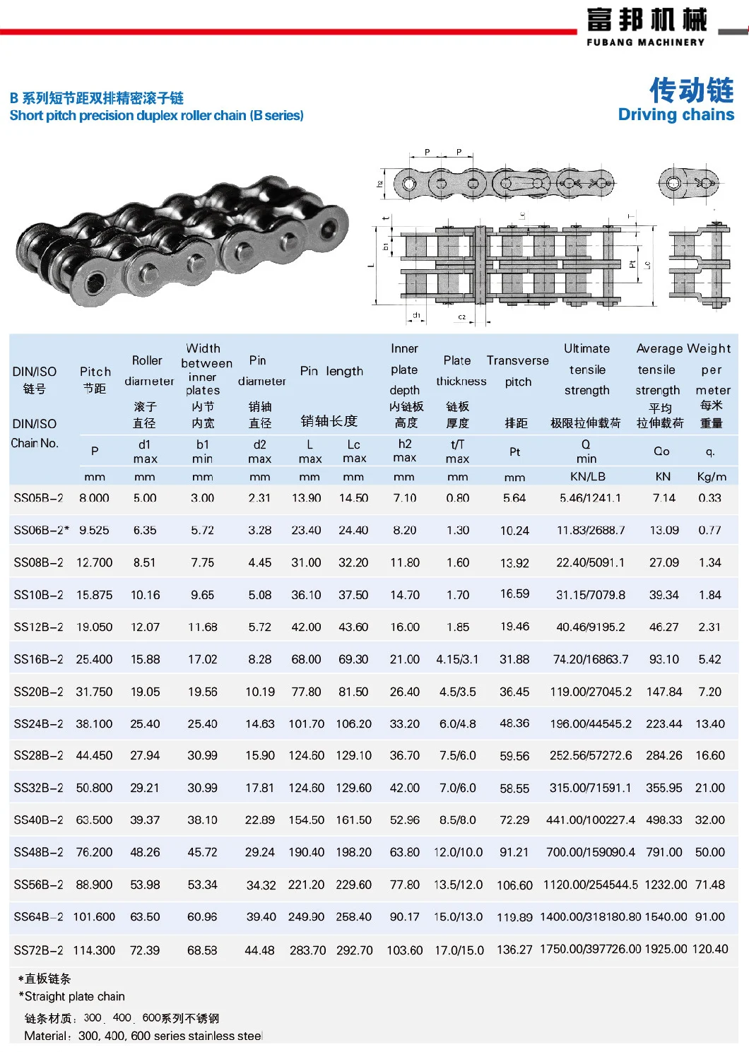 OEM China Manufacturer Stainless Steel Short Pitch Precision Duplex Roller Chain (B series)